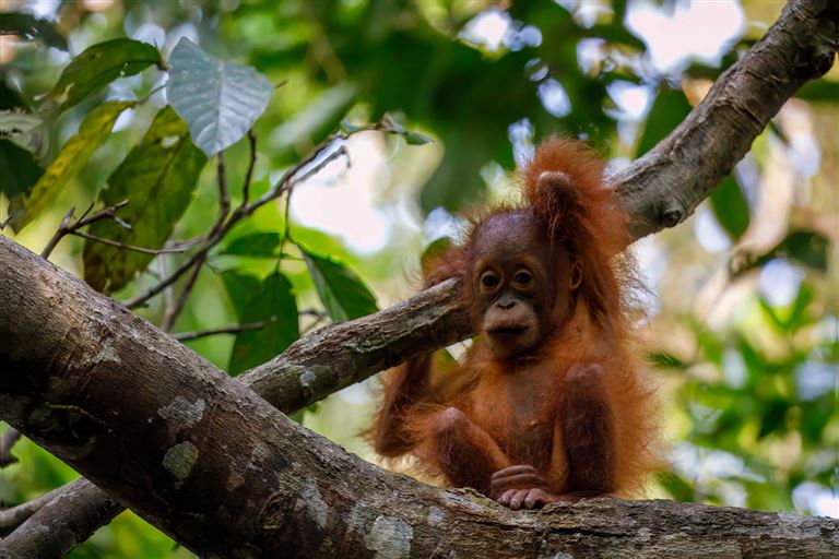 Best of Malaysia ©karenfoleyphotography/istock